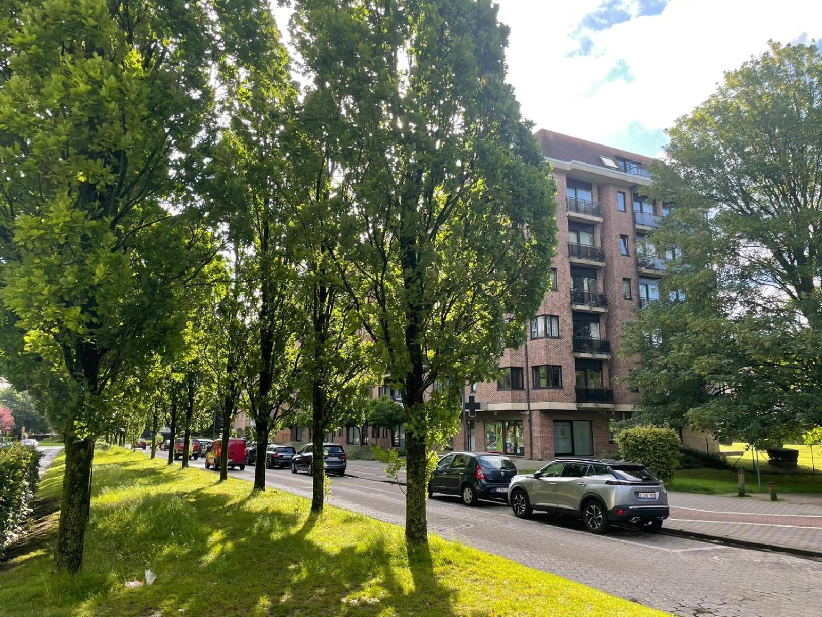 One Bedroom Fully Equipped Apartment With Terrace Brüsszel Kültér fotó